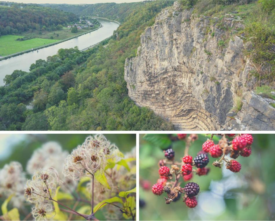 Laissez-Vous Enchanter Par La Vallee De La Meuse Hastiere-par-dela 外观 照片